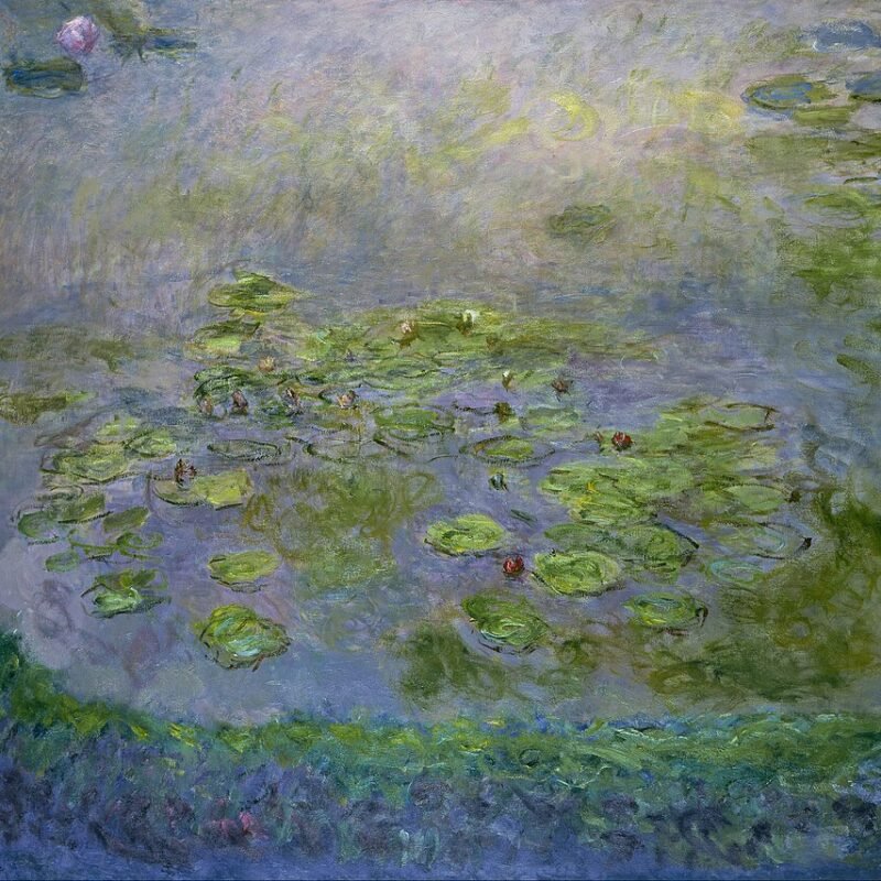 Water Lilies Study